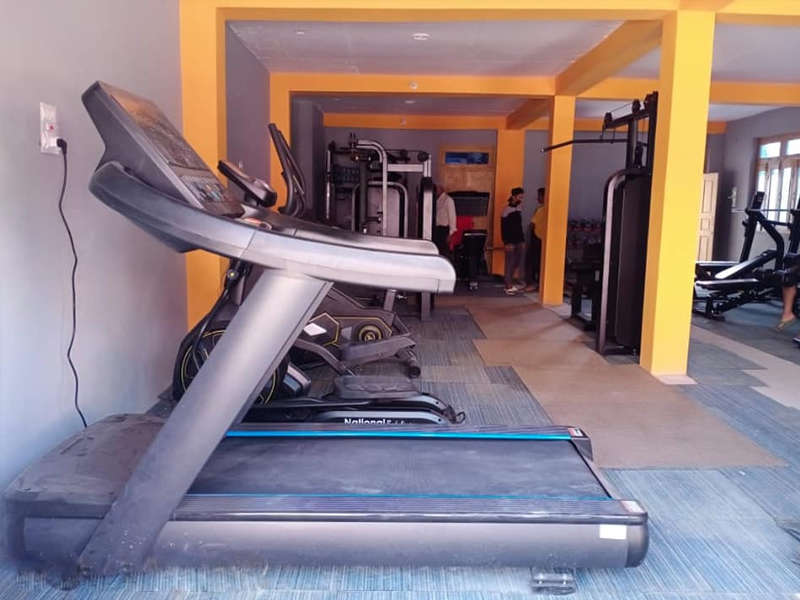 About Great Life India Gym Equipment Supplier in Delhi India